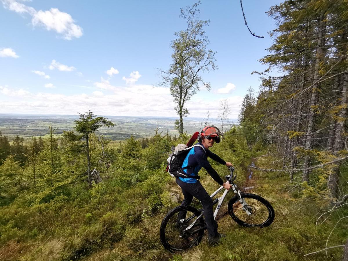 Idylliske Evjua Ved Mjosa Hotel Skreia Екстериор снимка