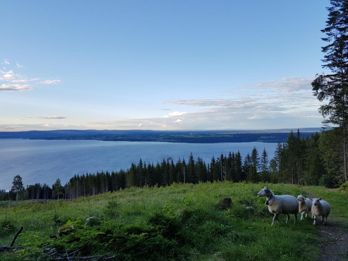 Idylliske Evjua Ved Mjosa Hotel Skreia Екстериор снимка